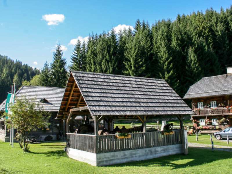 Chalet Zirbenwald I