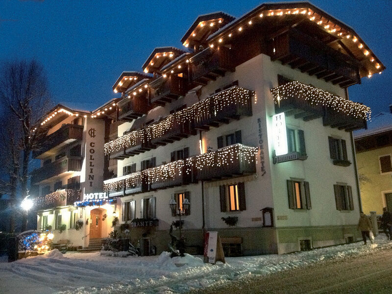 Hotel Collini