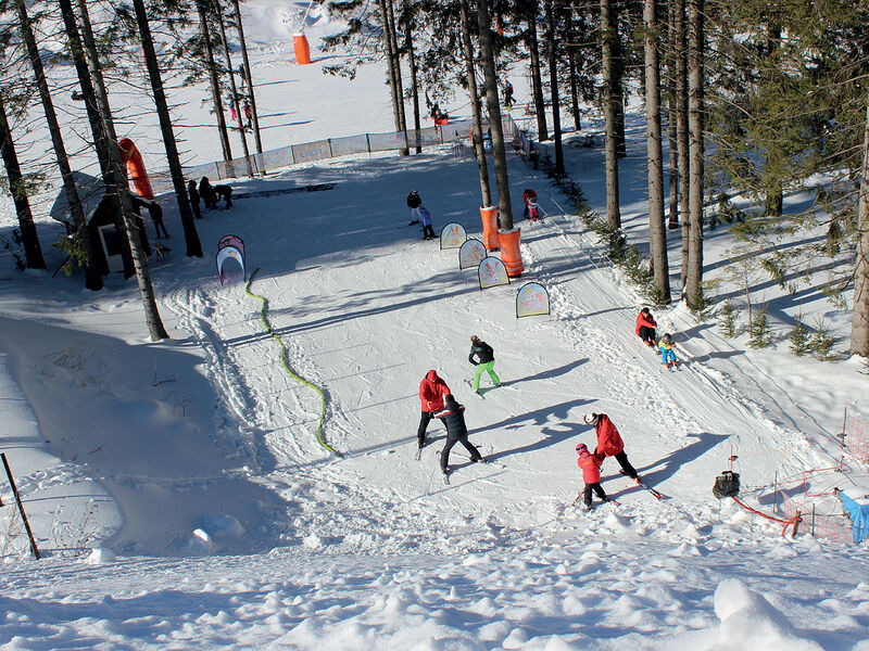 Ski & Wellness Residence Družba - polopenze