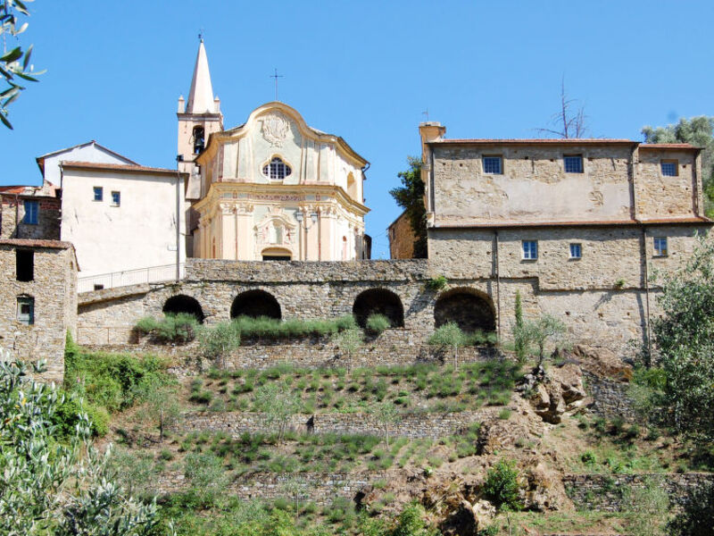 Geranio - Agr. Torre Dei Paponi