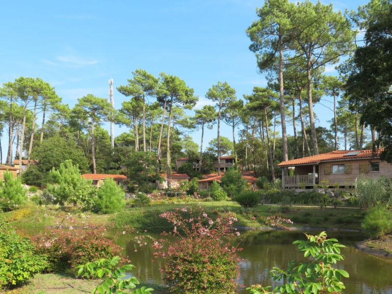 Eco Village Naturéo