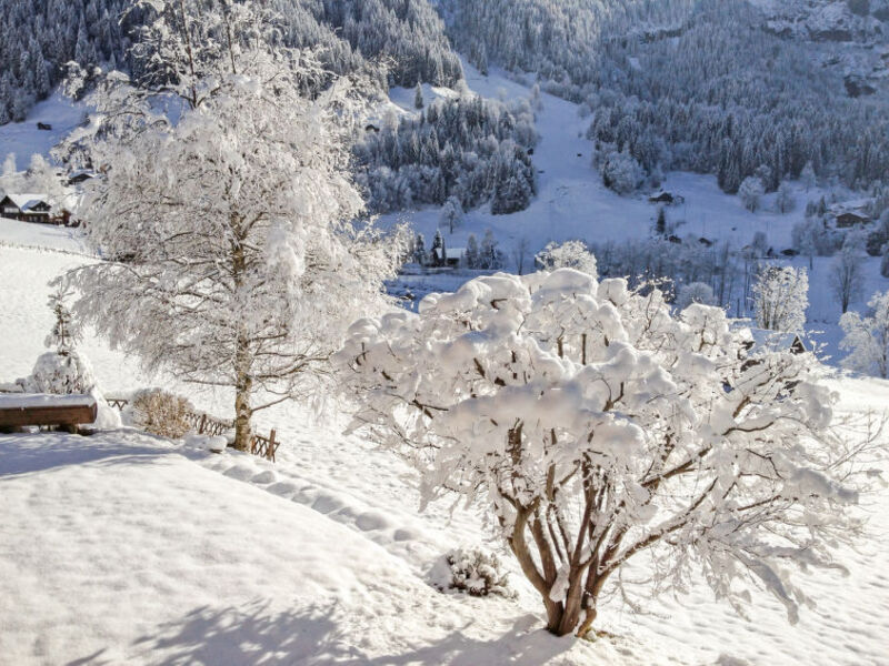 Chalet Bärgsunna