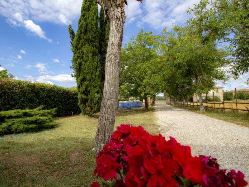 La Casa In Toscana