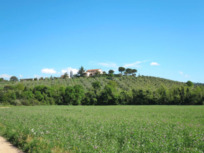 Agr. Baia Degli Ulivi