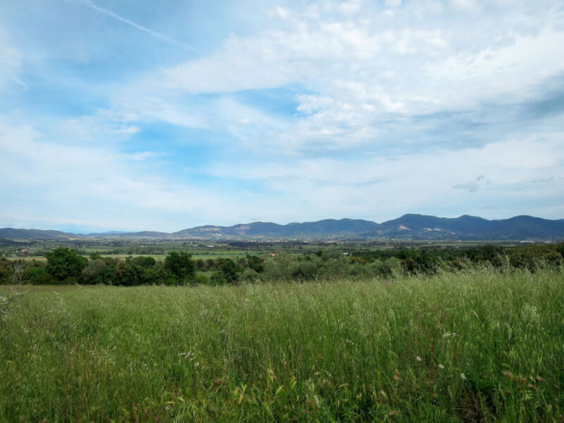 Podere Campo Fiorito