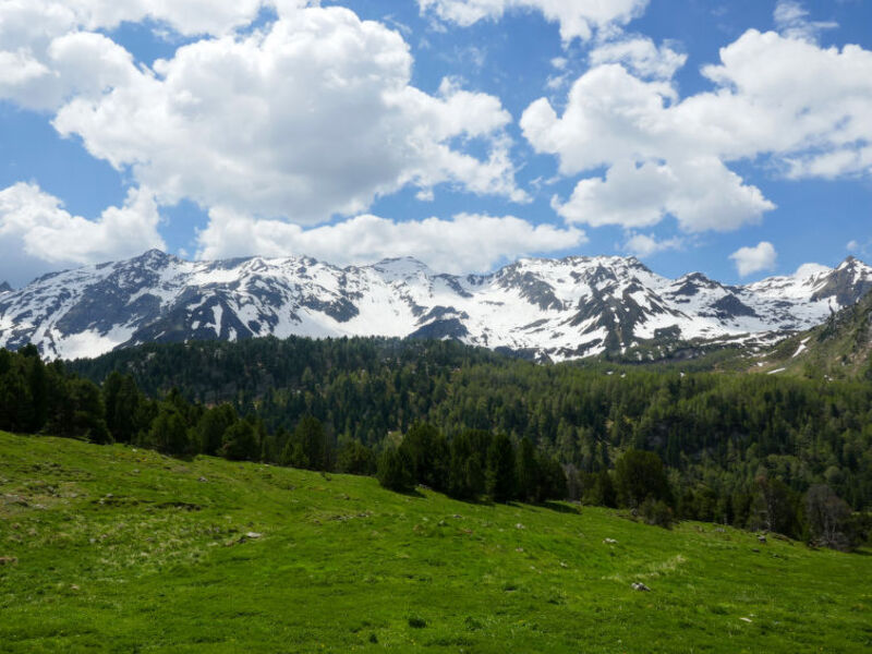 Rustico Dolomia