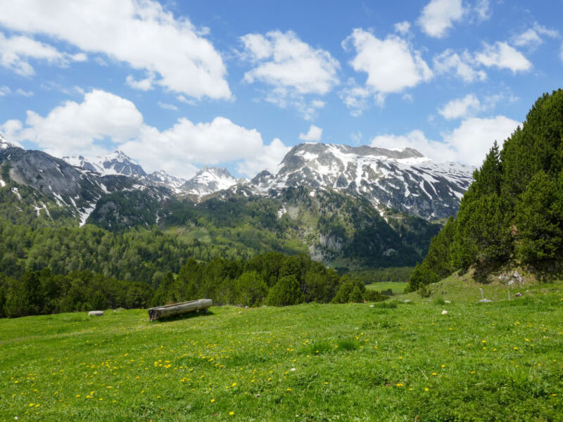 Rustico Dolomia