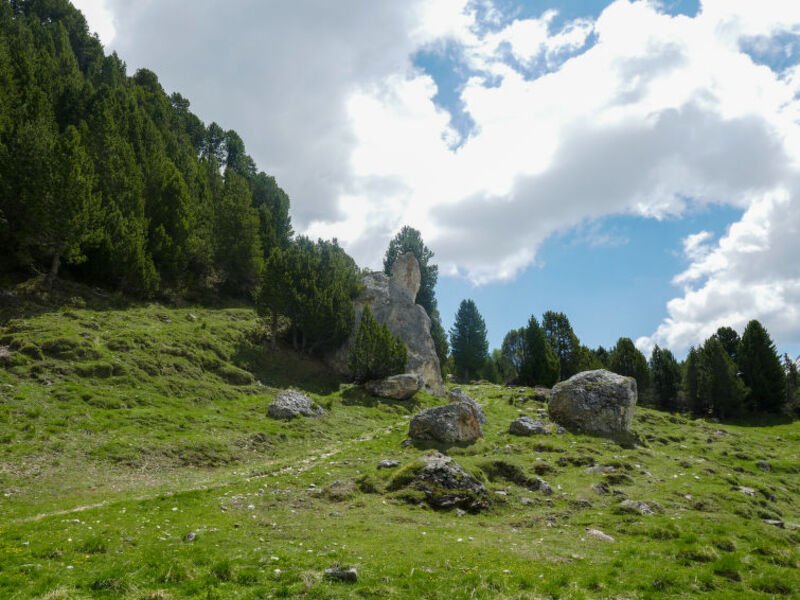 Rustico Dolomia