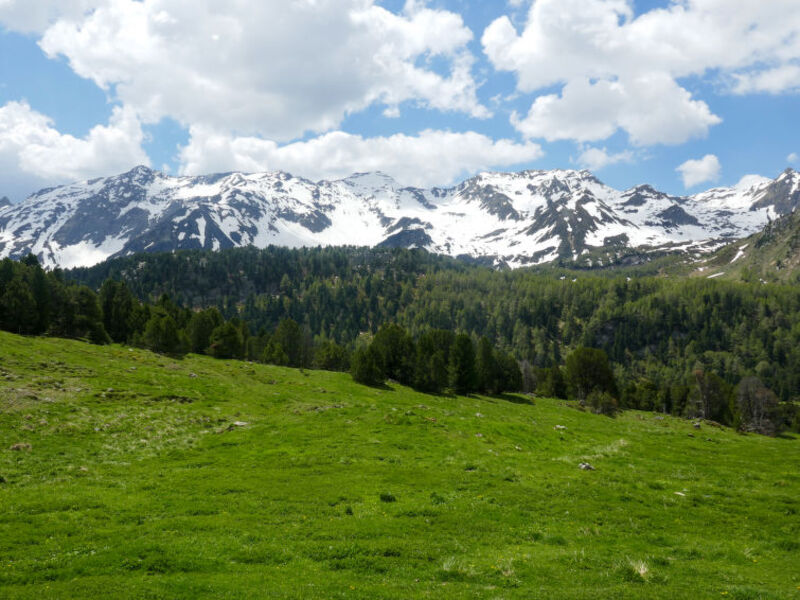 Rustico Dolomia