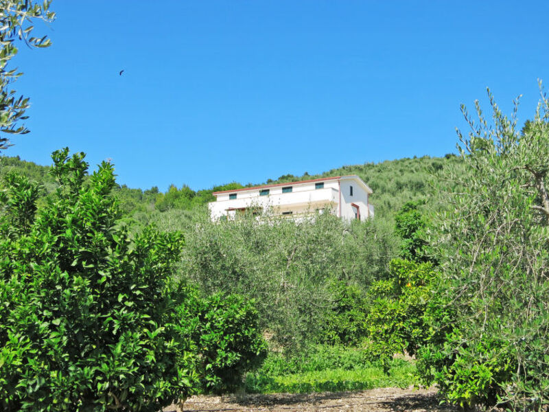 Villa Tavaglione