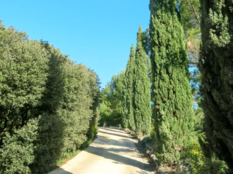 Les Garrigues De La Vallée Des Baux