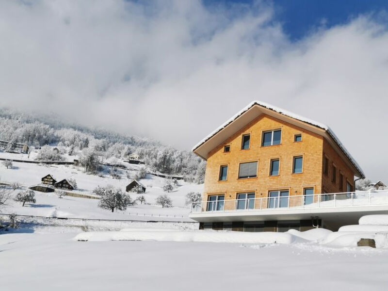 Chalet Lehni