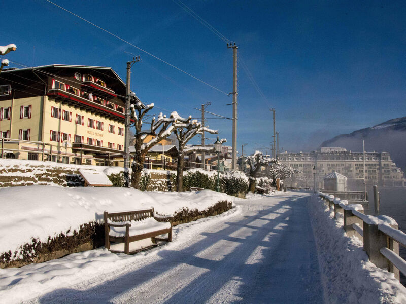 Hotel Seehof