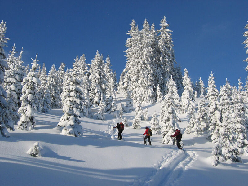 Erzberg Alpin Resort