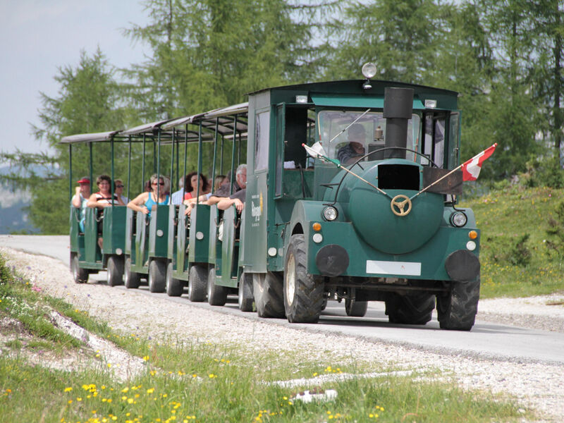 Berghof Tauplitzalm