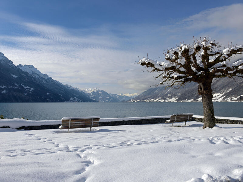 Hotel Brienz