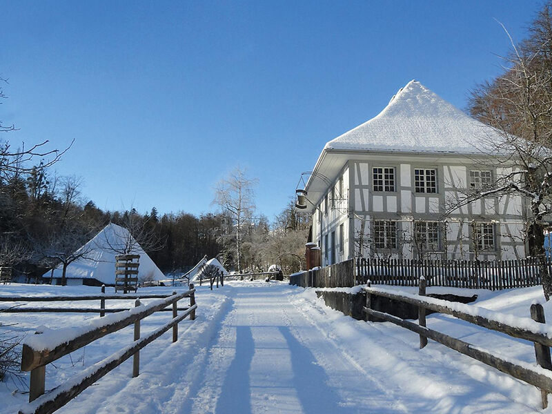 Hotel Brienzerburli & Weisses Kreuz