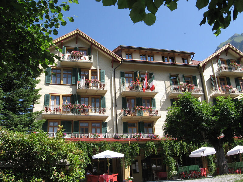 Hotel Falken