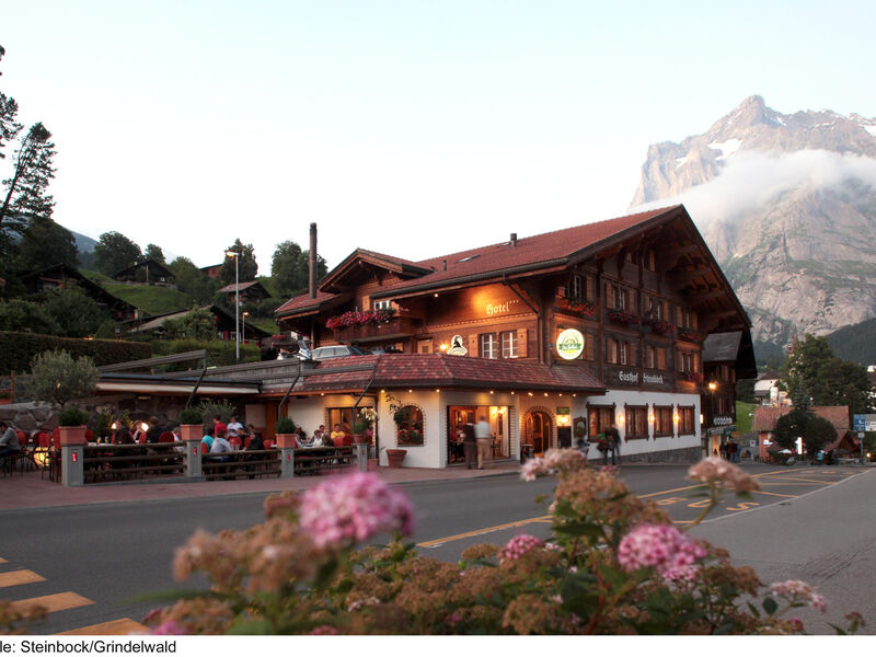 Hotel Steinbock