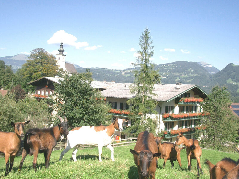 Hotel Haflingerhof