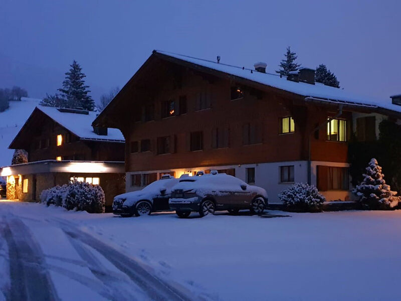 Hotel Alpine Lodge