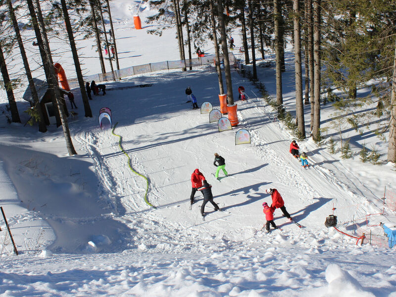 Ski & Wellness Residence Družba