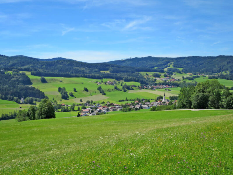 Gasthaus Waldfrieden