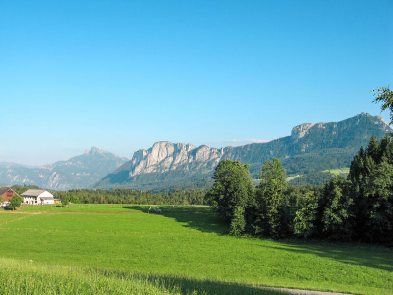 Gasthaus Waldfrieden