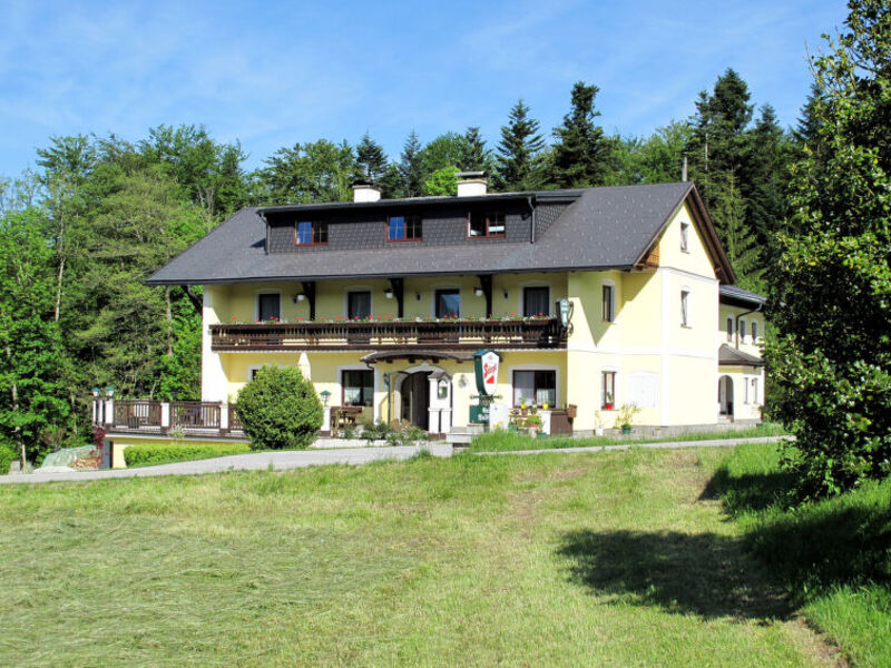 Gasthaus Waldfrieden