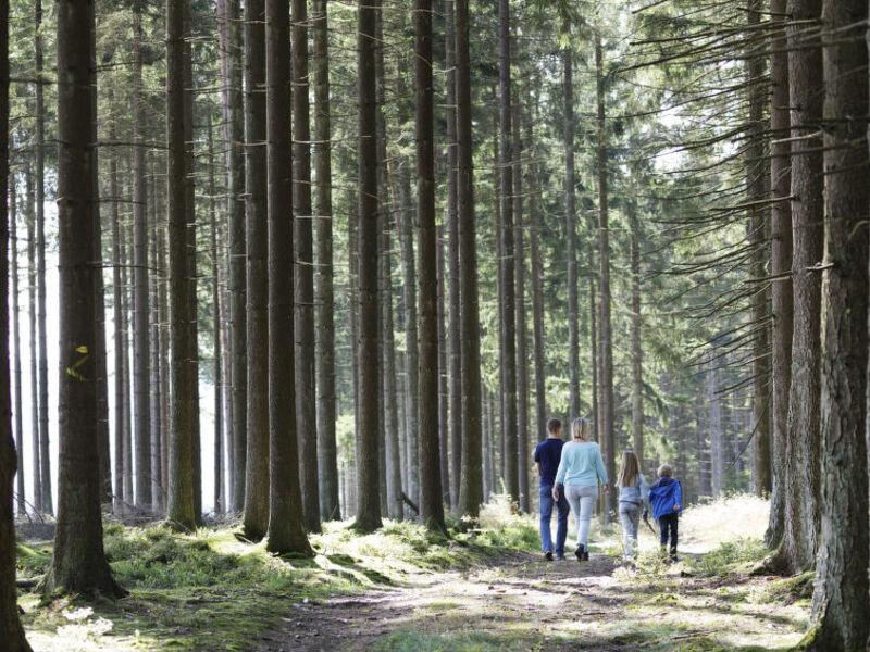 Center Parcs Les Ardennes