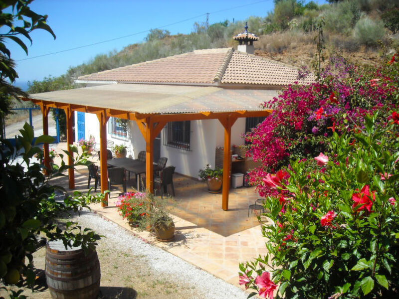 Finca Trigueros - Casa Palmito