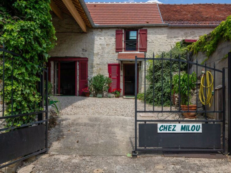 Chez Milou