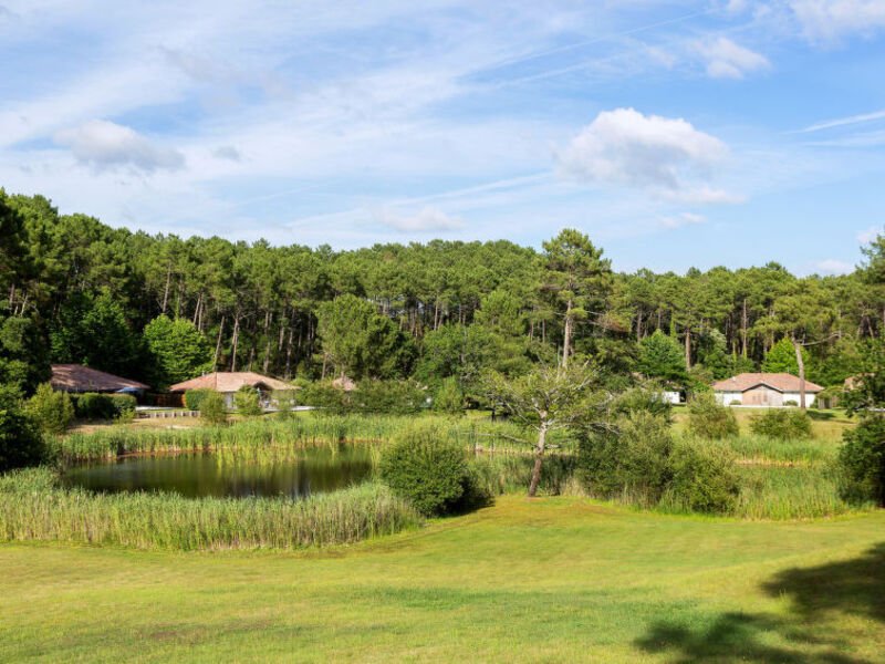 Clairière Aux Chevreuils