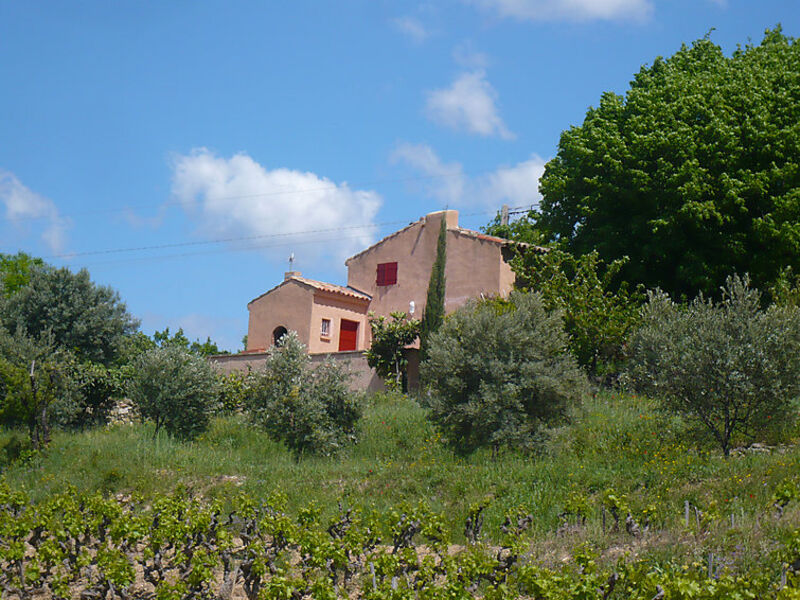 Les Vignes