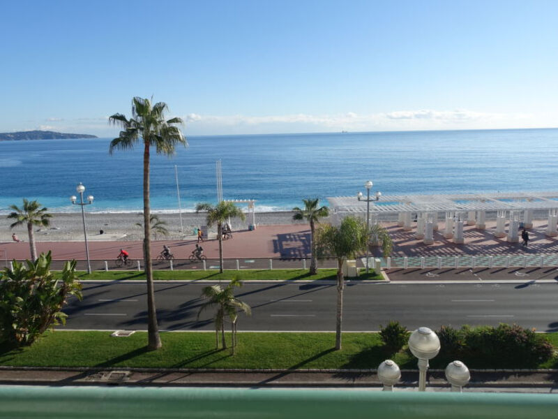 Les Yuccas Promenade Des Anglais