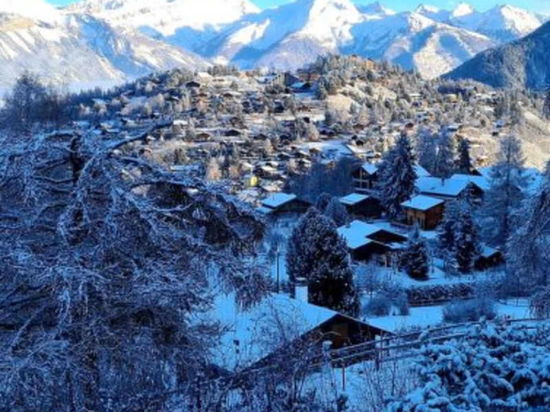 Chalet Les Anémones