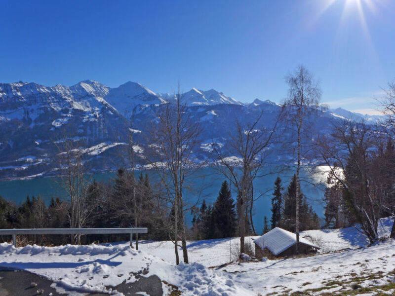 Berg-Seeblick