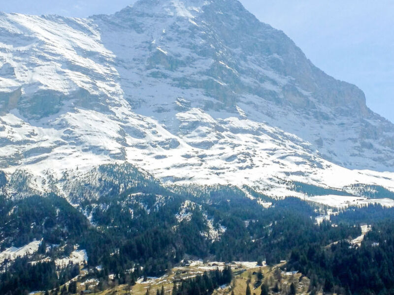 Mittelhorn