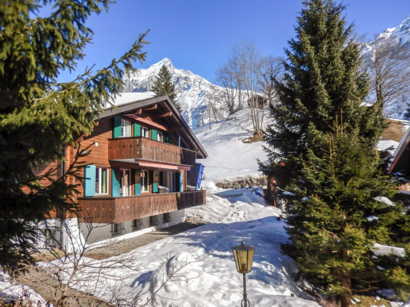 Chalet Bienli