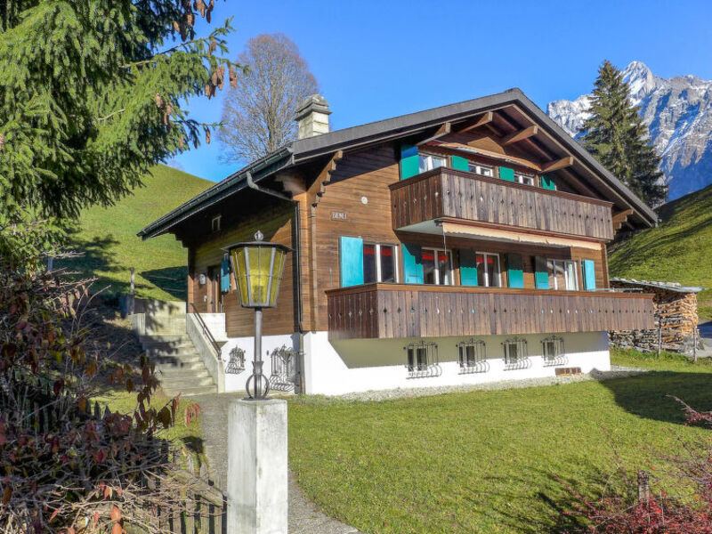 Chalet Bienli