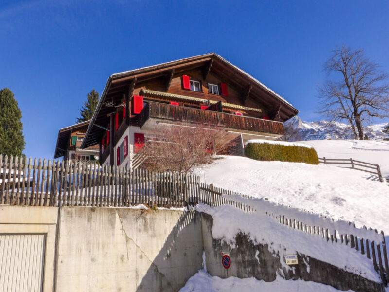 Chalet Albi