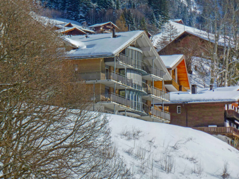 Chalet Silence