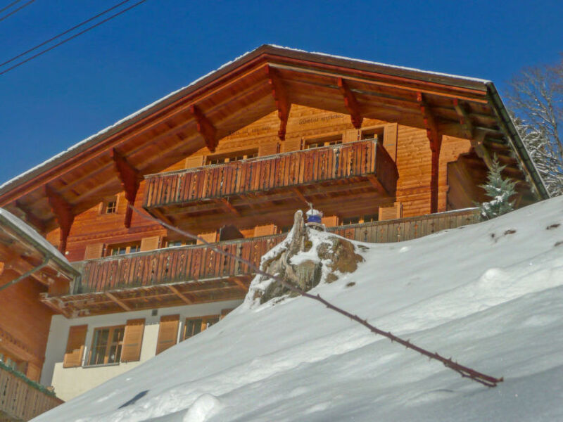 Chalet Bluemewäg