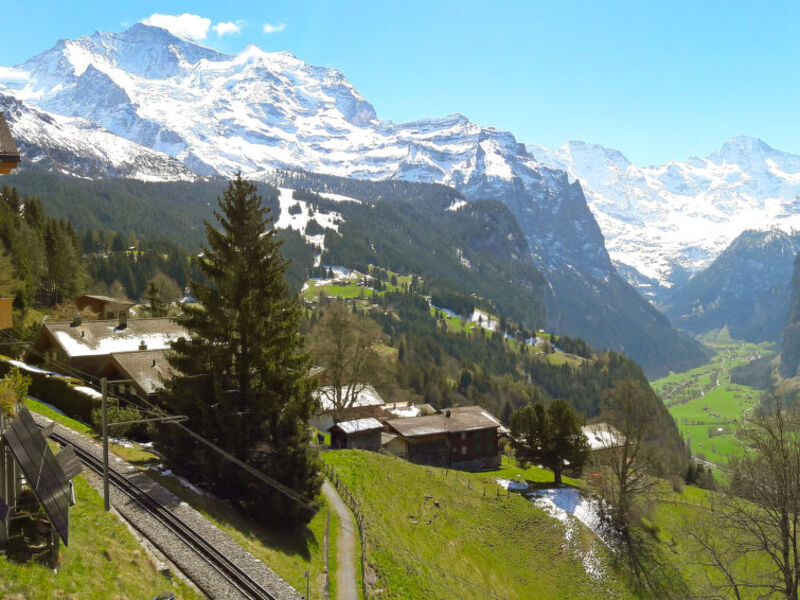 Chalet Bluemewäg