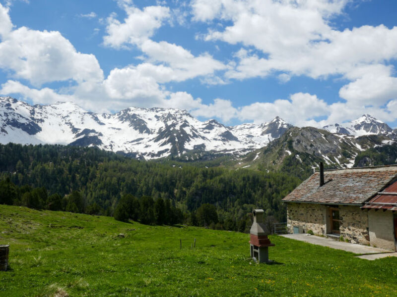 Rustico Dolomia