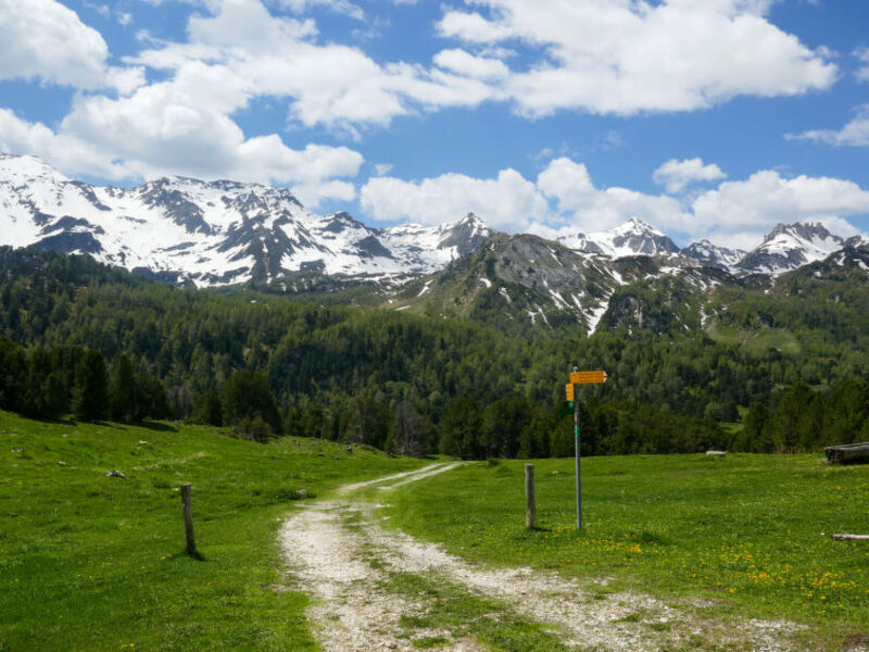 Rustico Dolomia