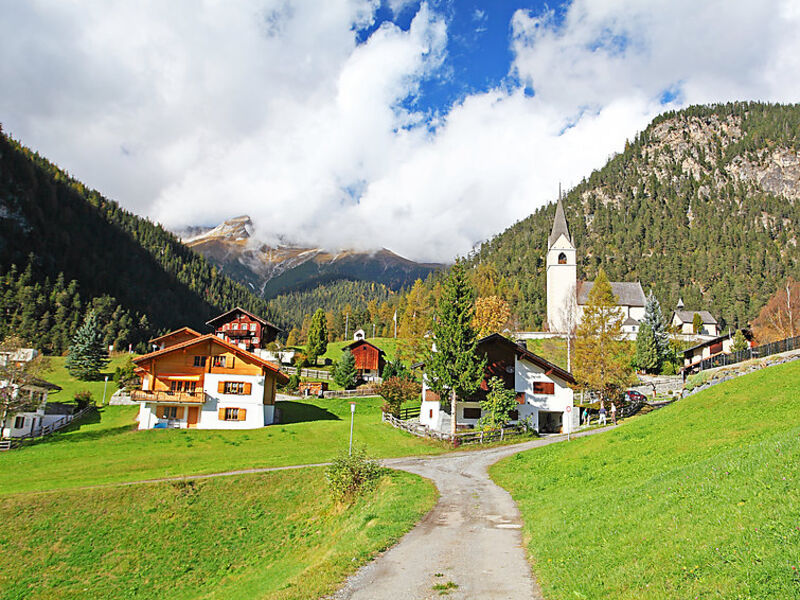 Albula