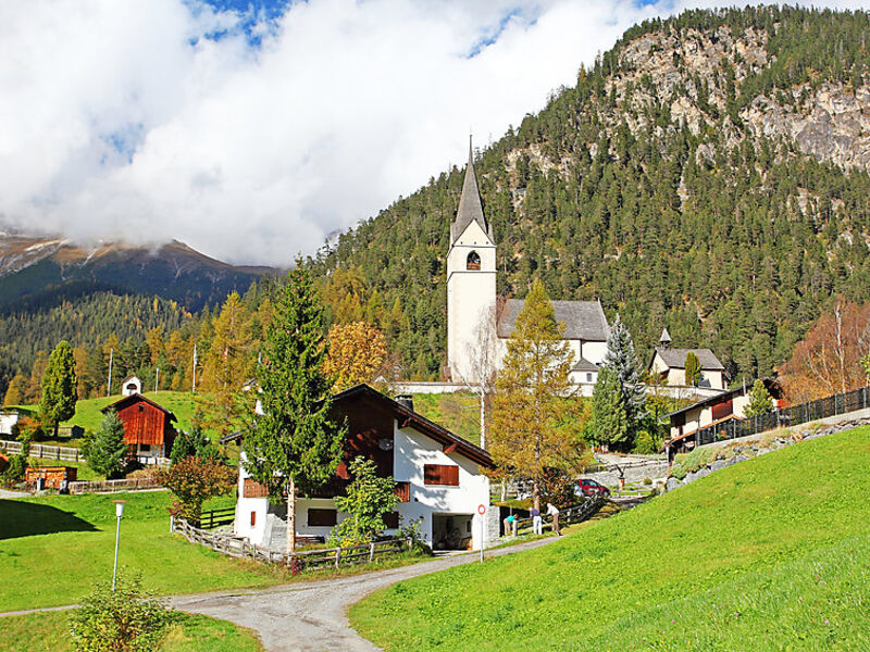 Albula