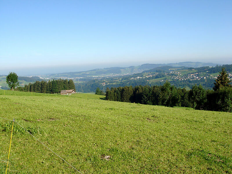 Alpsteinblick