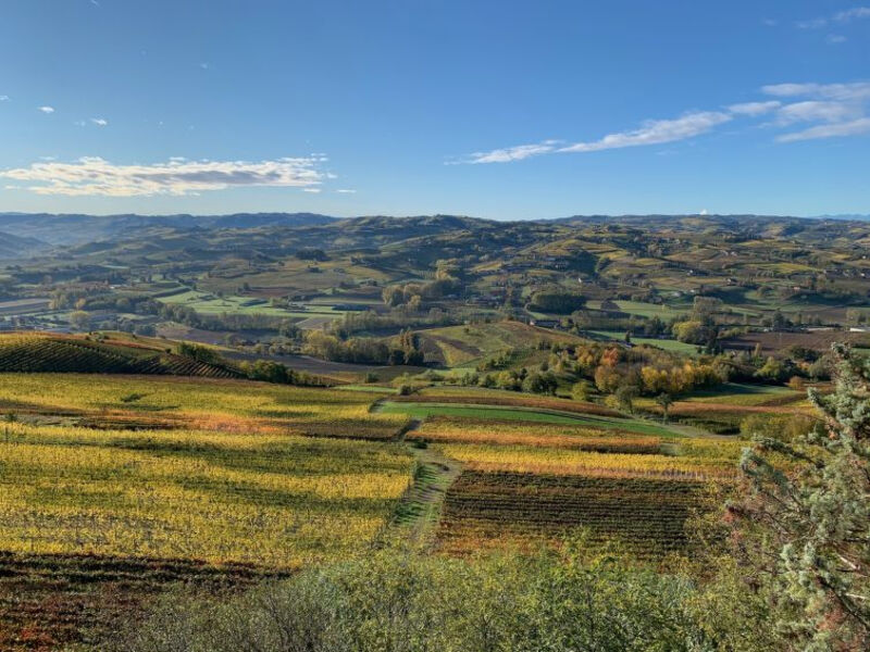 Cascina Vigne